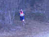 crossinter38.jpg (123345 octets)