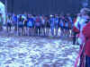 crossinter40.jpg (133936 octets)